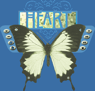 Heart Butterfly