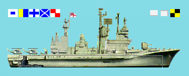 Ship skin