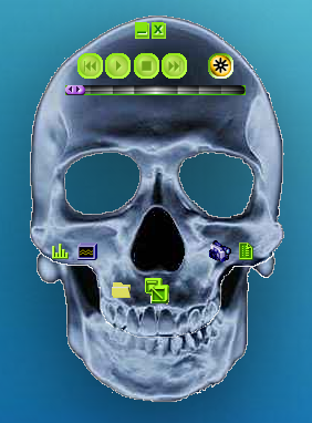 skull